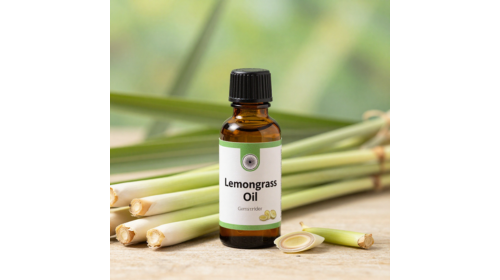 Lemongrass Oil Export from India: A Reliable Sourcing Guide for Global Buyers
